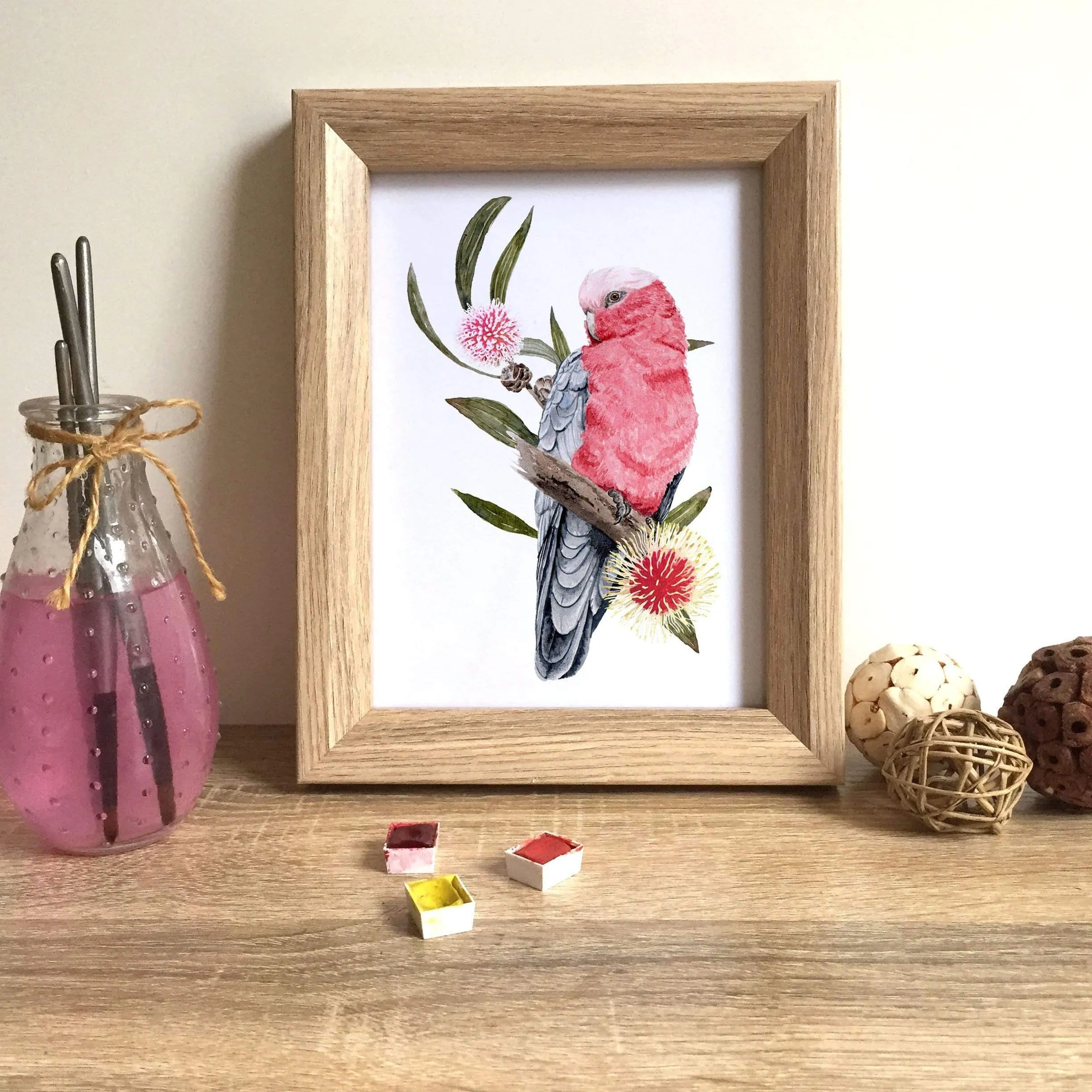 Galah Art Print set of 3