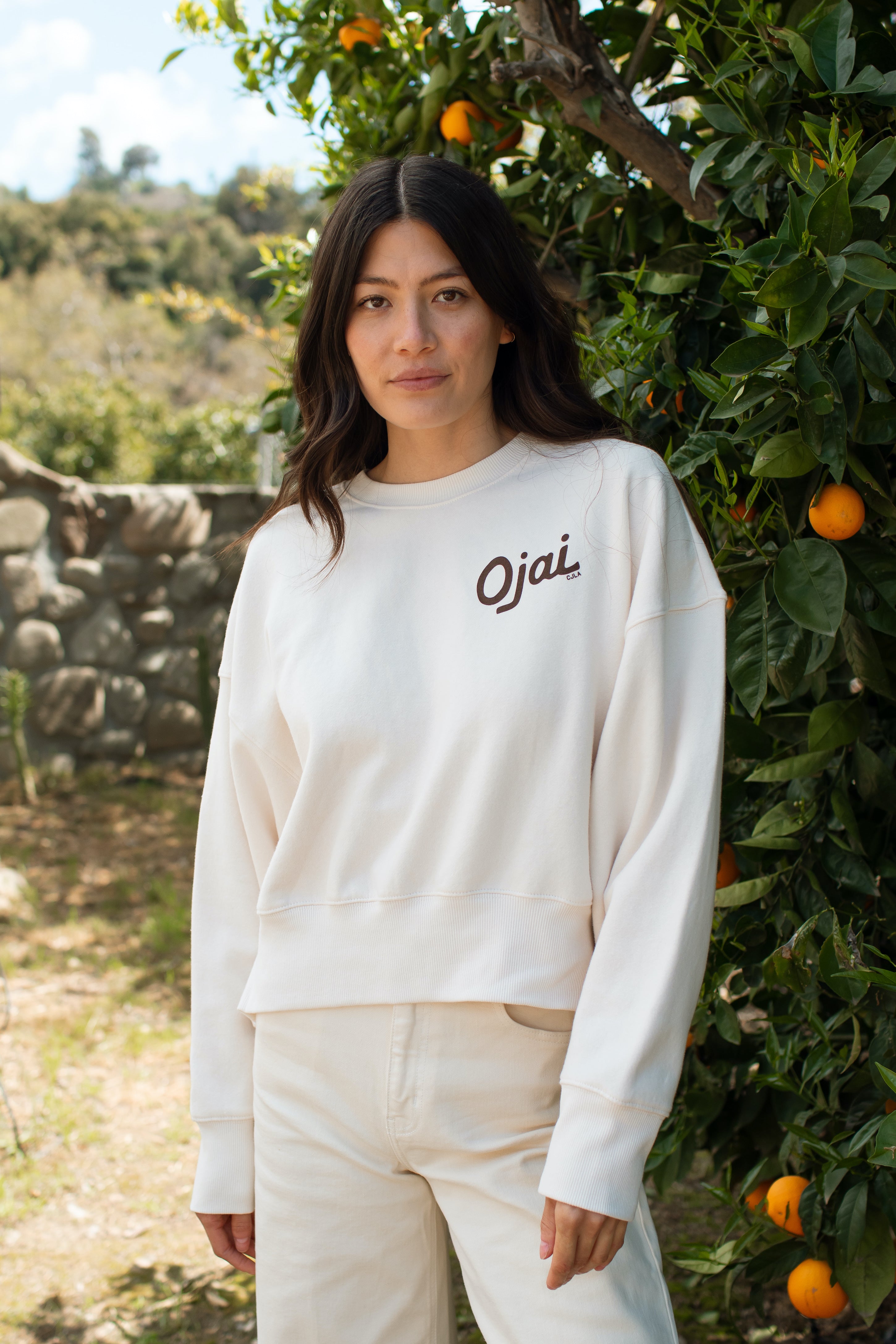 Ojai Crewneck