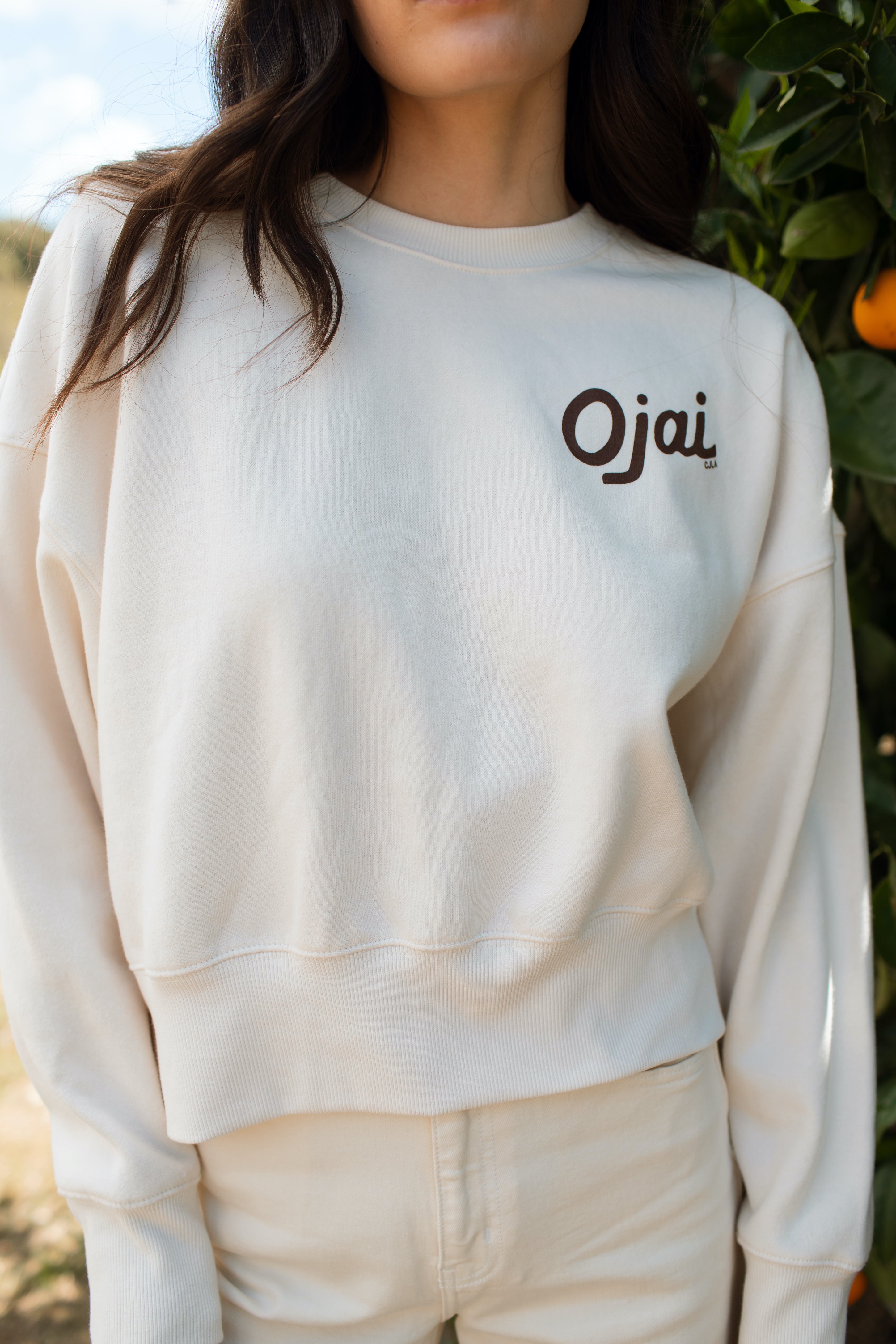 Ojai Crewneck